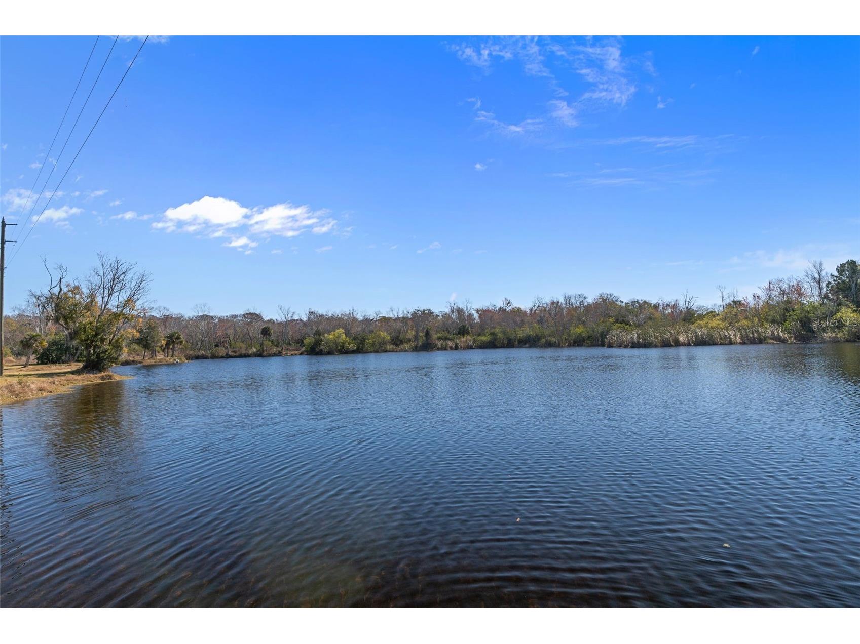 8301 Congress Street Port Richey FL 34668 W7882640 image78