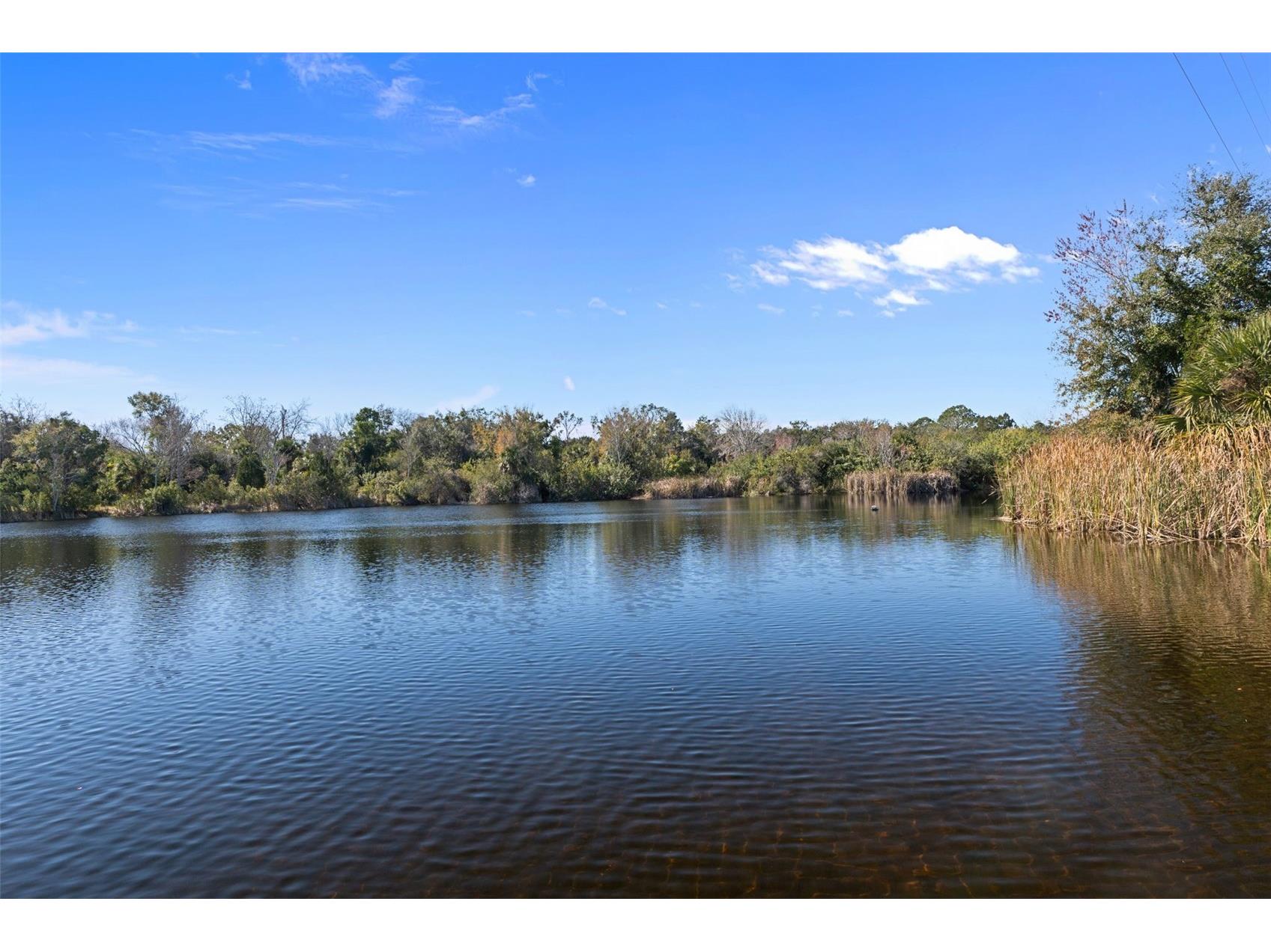 8301 Congress Street Port Richey FL 34668 W7882640 image79