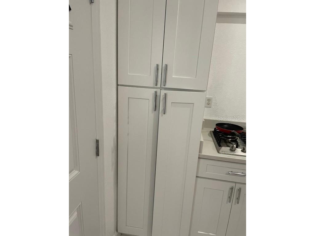 8301 Lopez Drive Tampa FL 33615 TB8448073 image29