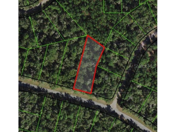 8301 N Alameda Drive Citrus Springs FL 34434 C7474727 image1