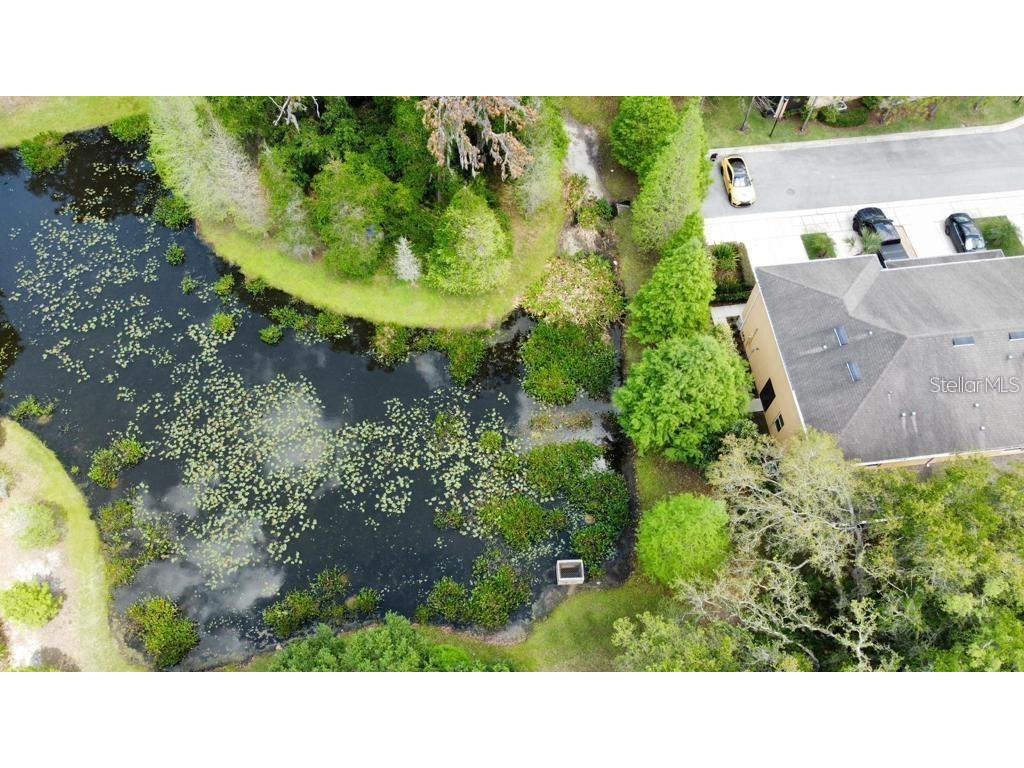 8301 Pine River Road Tampa FL 33637 TB8501198 image6