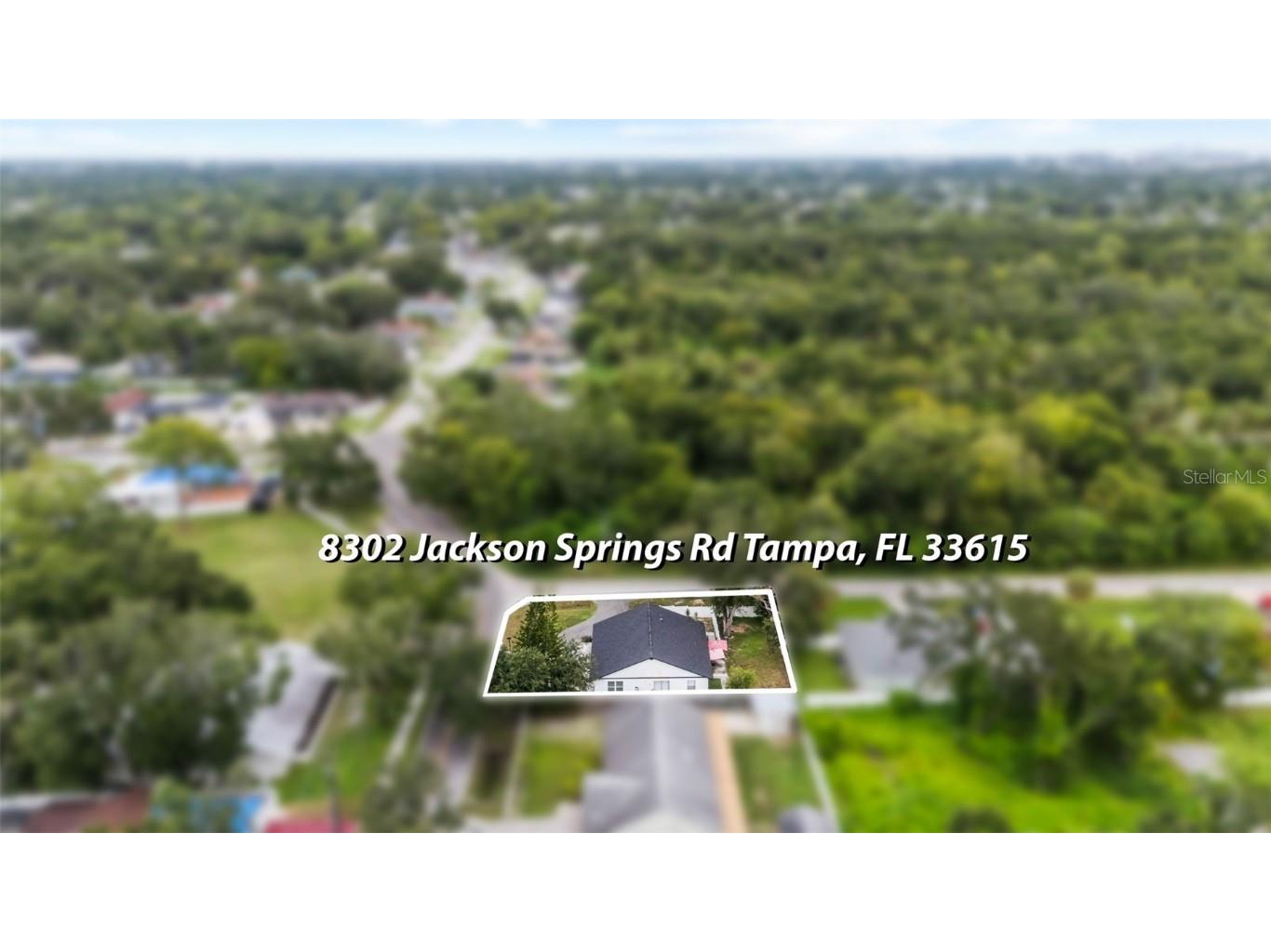 8302 Jackson Springs Road Tampa FL 33615 TB8425627 image39