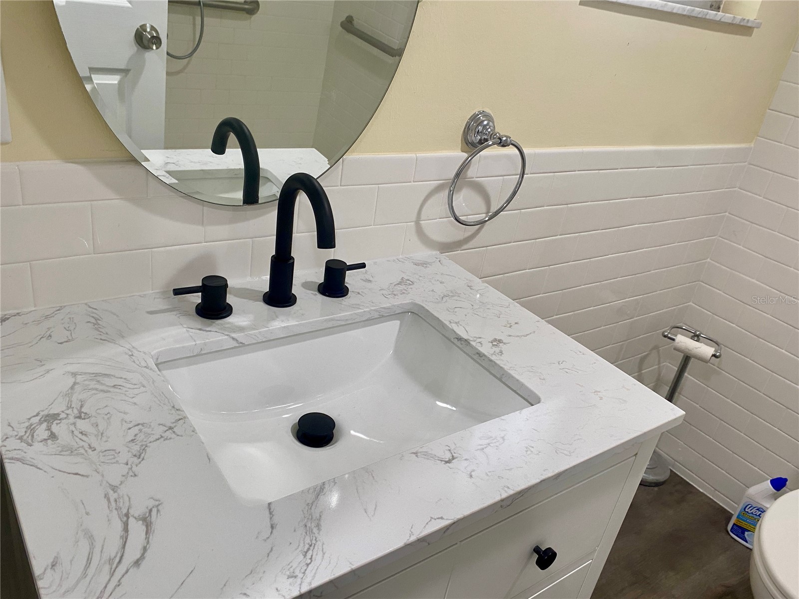 8302 N Flintrock Court Tampa FL 33615 A4696694 image8