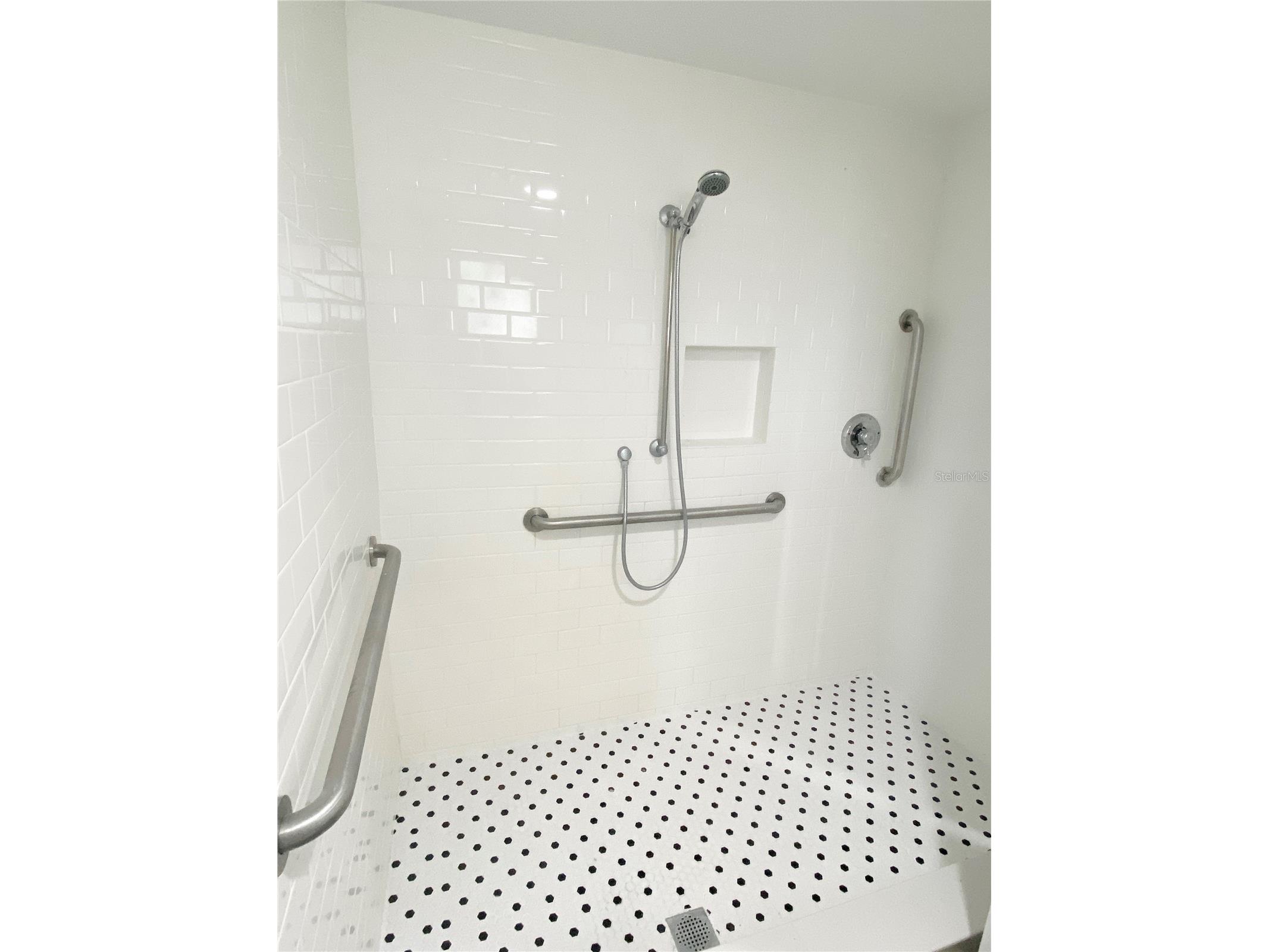 8302 N Flintrock Court Tampa FL 33615 A4696694 image9