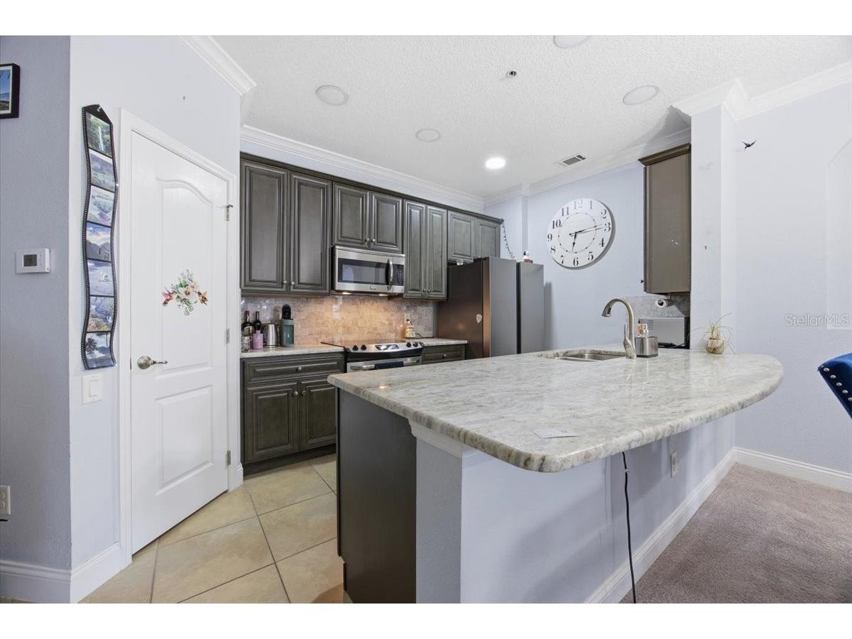 8302 Portofino Drive #101 Davenport FL 33896 TB8492794 image8