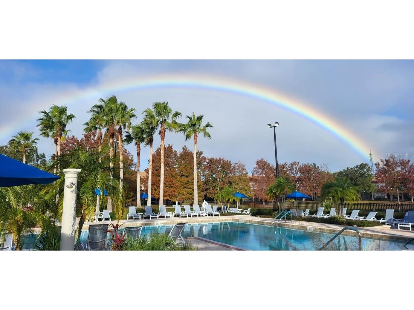 8302 Portofino Drive #105 Davenport FL 33896 S5139901 image83