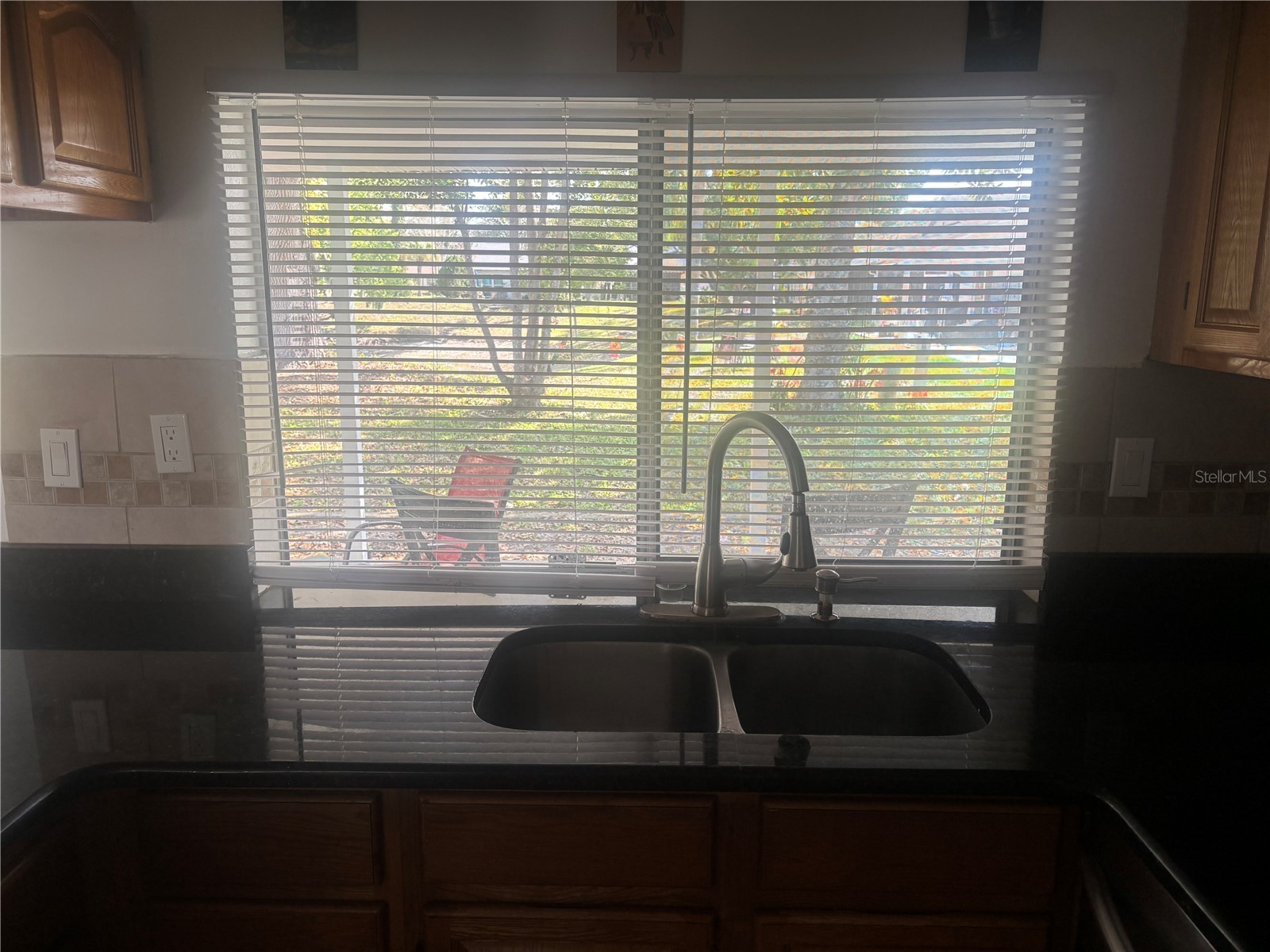 8302 Split Rail Lane Hudson FL 34667 S5145524 image6