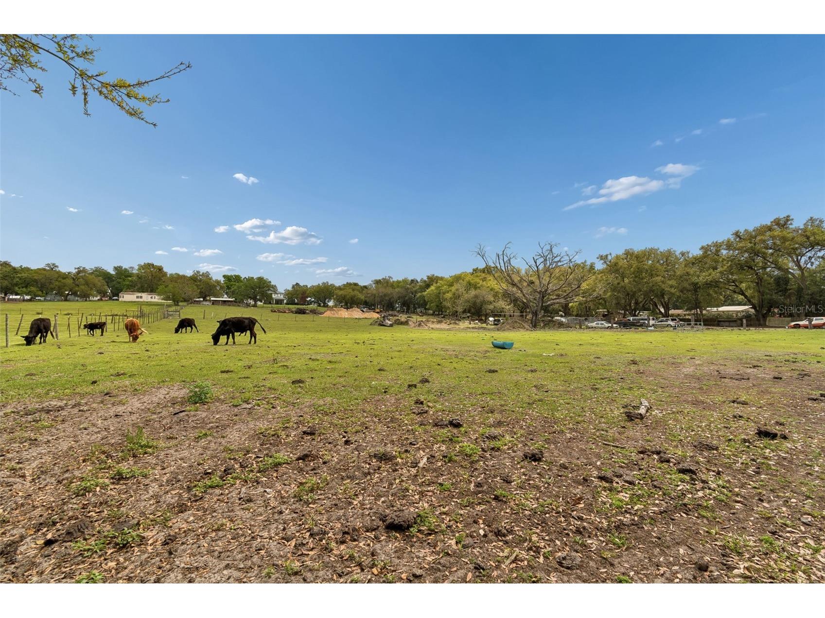 8302 Wire Road Zephyrhills FL 33540 TB8498531 image17