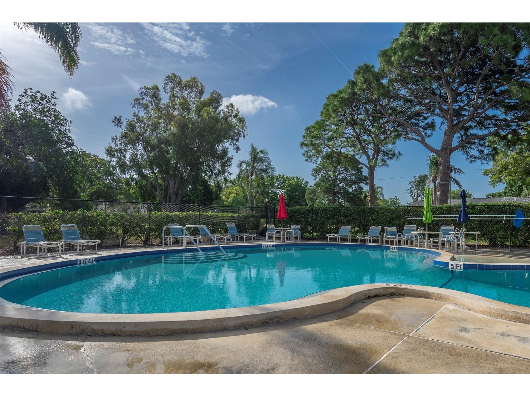 8303 Annwood Road Seminole FL 33777 TB8489658 image24