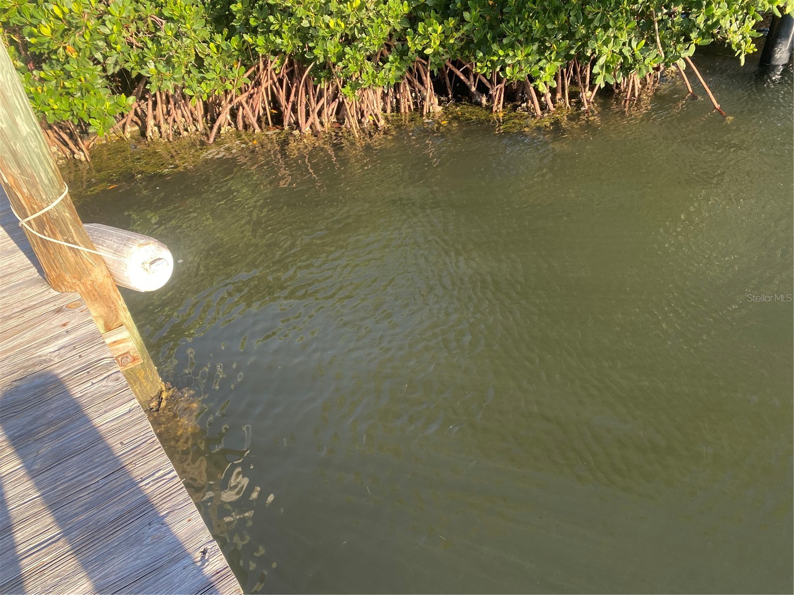 8303 Marina Drive #12 Holmes Beach FL 34217 A4693059 image3