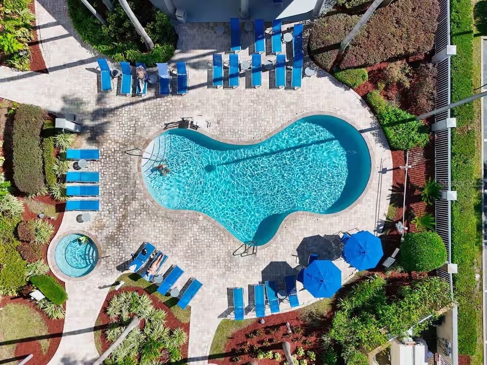 8303 Palm Parkway #208 Orlando FL 32836 O6406967 image38