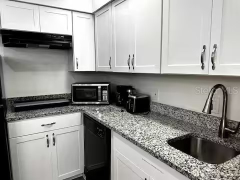 8303 Palm Parkway #208 Orlando FL 32836 O6406967 image8