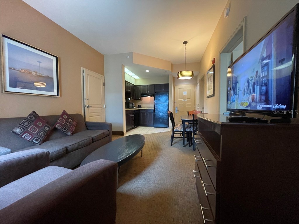 8303 Palm Parkway #221/223 Orlando FL 32836 O6186089 image10