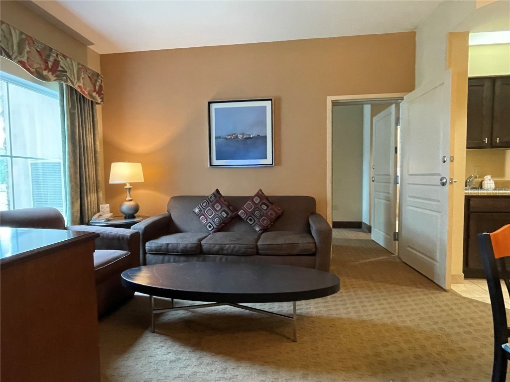 8303 Palm Parkway #221/223 Orlando FL 32836 O6186089 image20