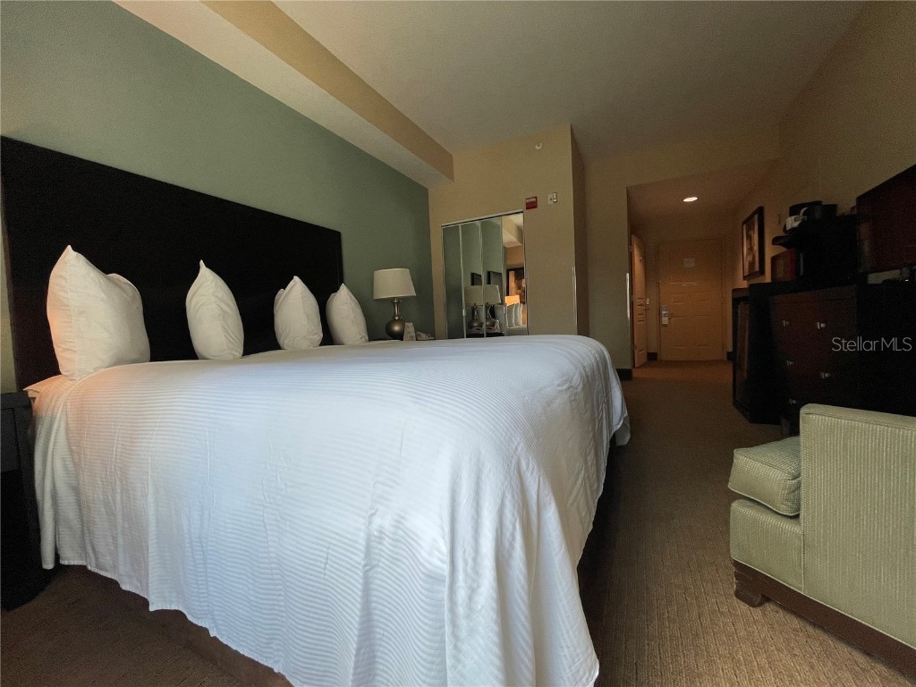 8303 Palm Parkway #221/223 Orlando FL 32836 O6186089 image26