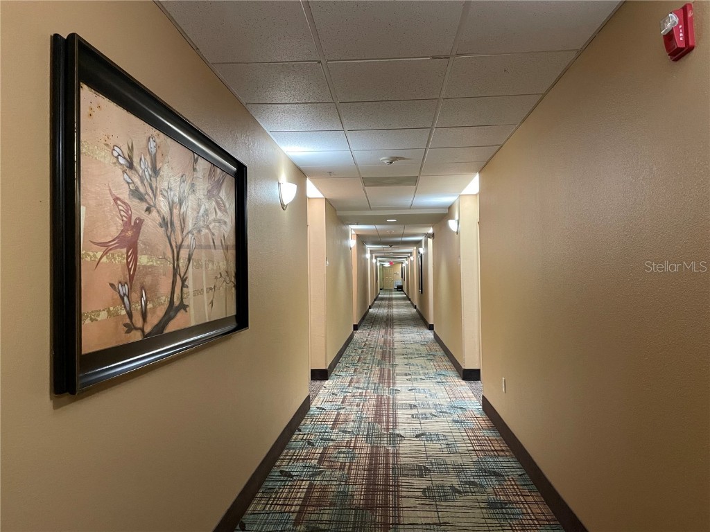 8303 Palm Parkway #221/223 Orlando FL 32836 O6186089 image8