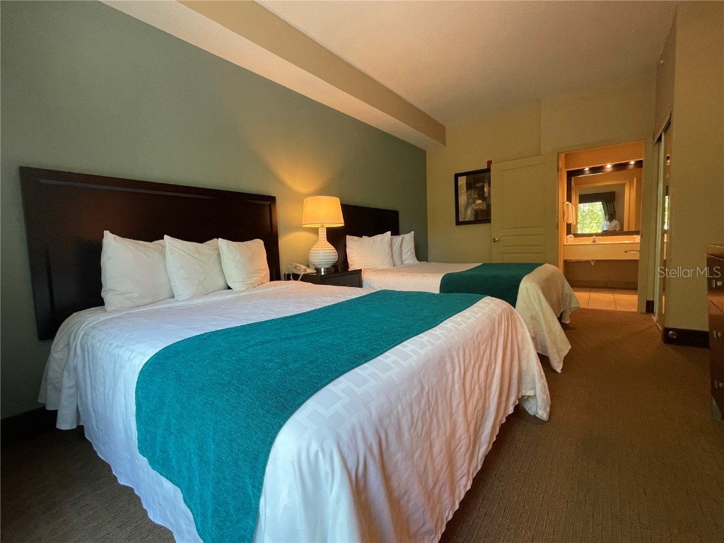 8303 Palm Parkway #222/224 Orlando FL 32836 O6186097 image19