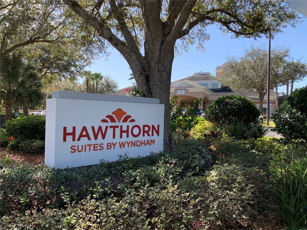 8303 Palm Parkway #222/224 Orlando FL 32836 O6186097 image4