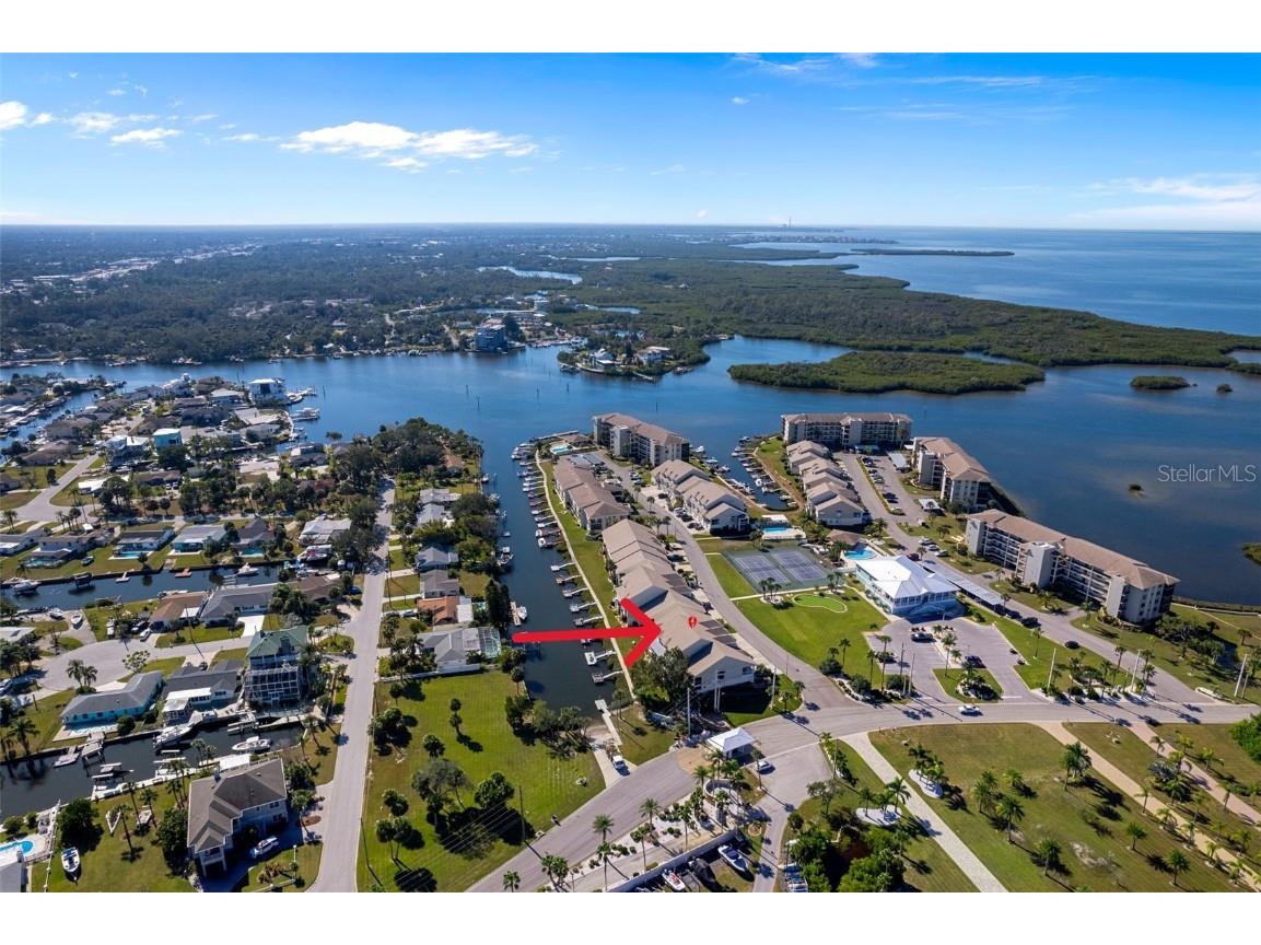 8304 Aquila Street Port Richey FL 34668 - GULF OF MEXICO COTEE RIVER W7880842 image3