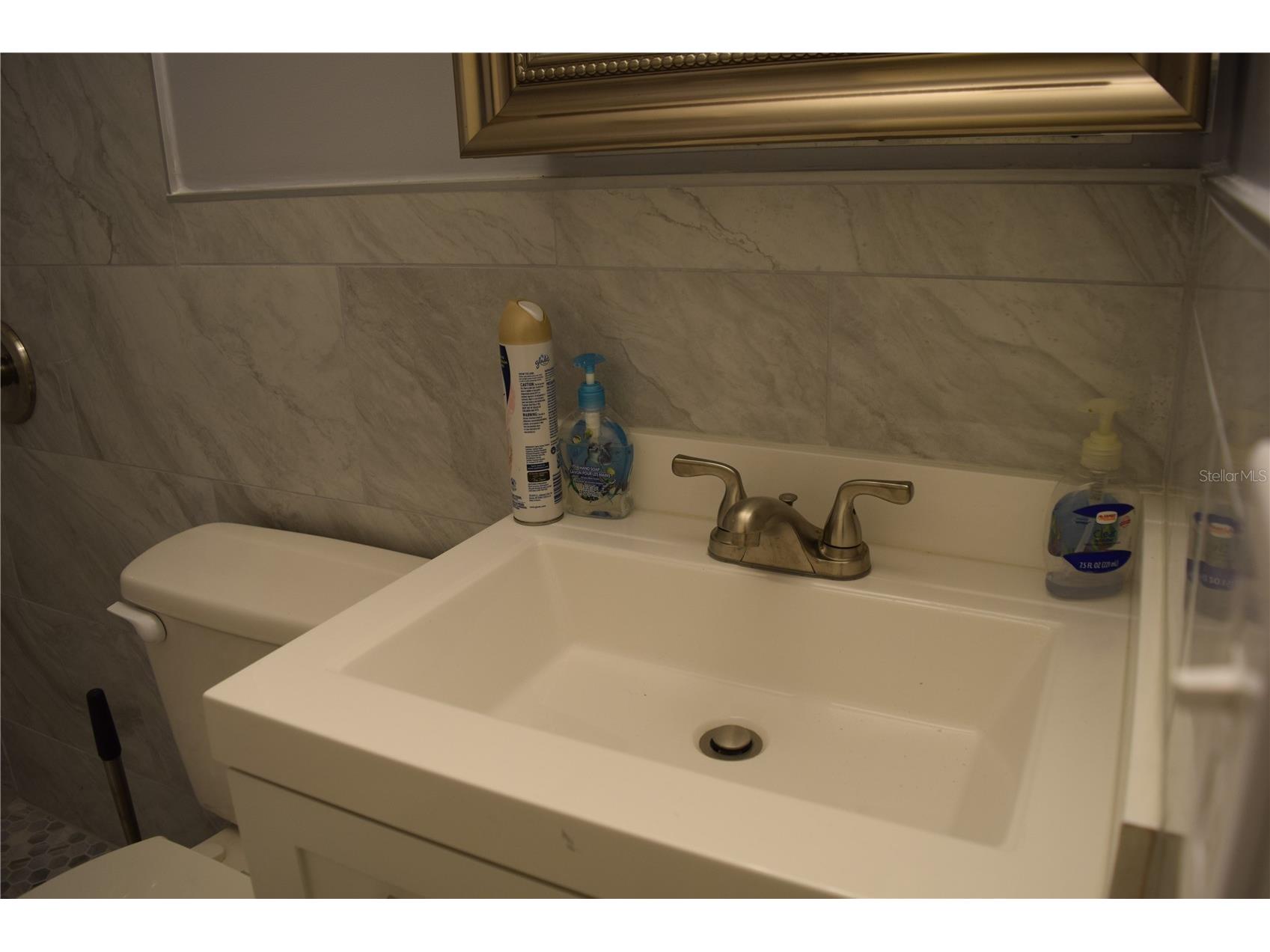 8304 Dot Lane Orlando FL 32809 S5147493 image60