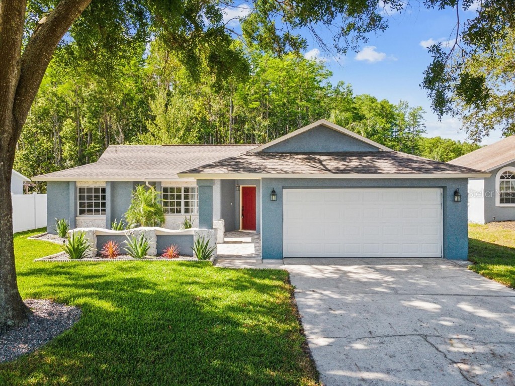 8304 Fishhawk Avenue New Port Richey FL 34653 A4651173 image1