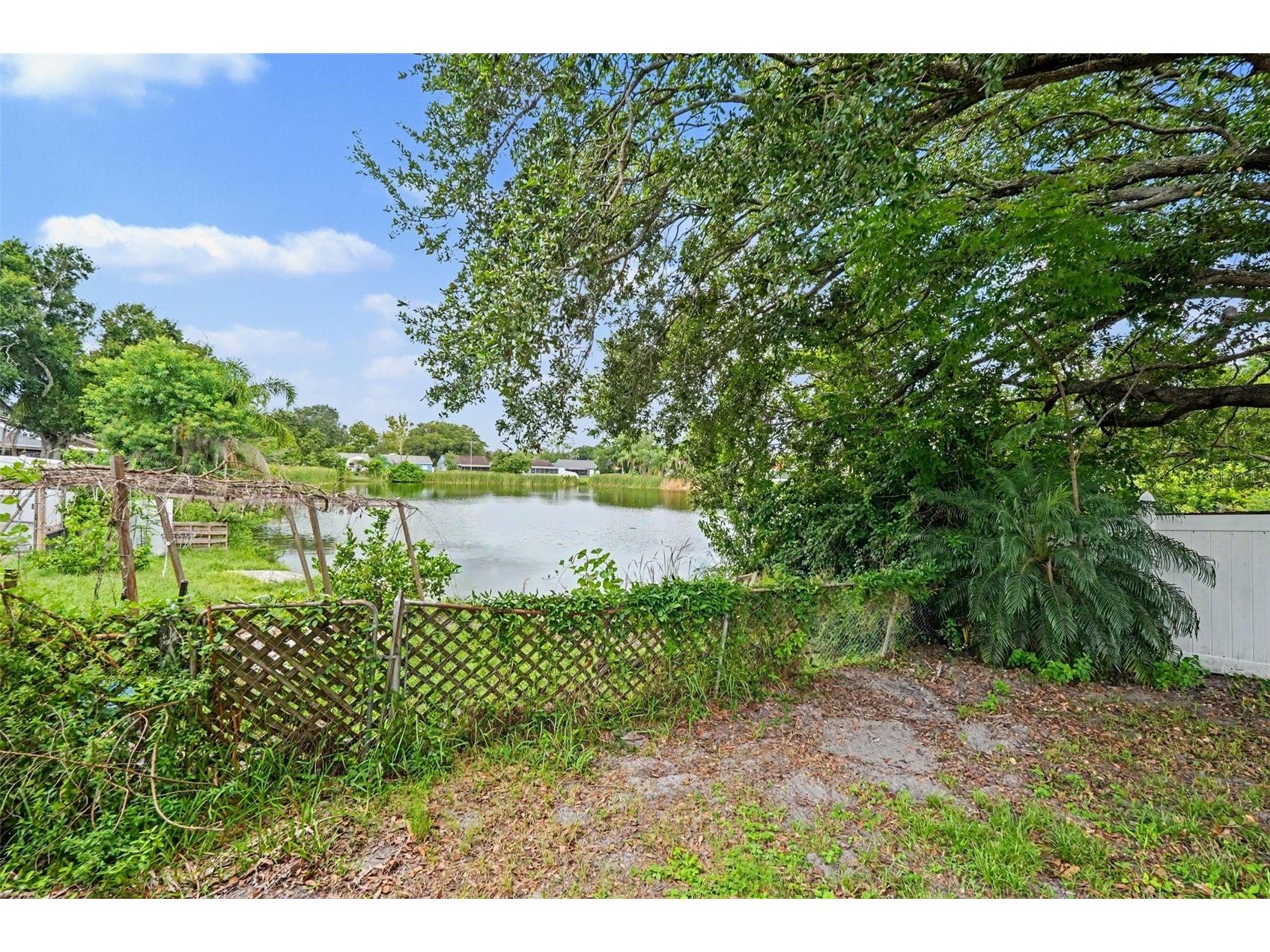 8304 Natchez Street Tampa FL 33637 O6419188 image13