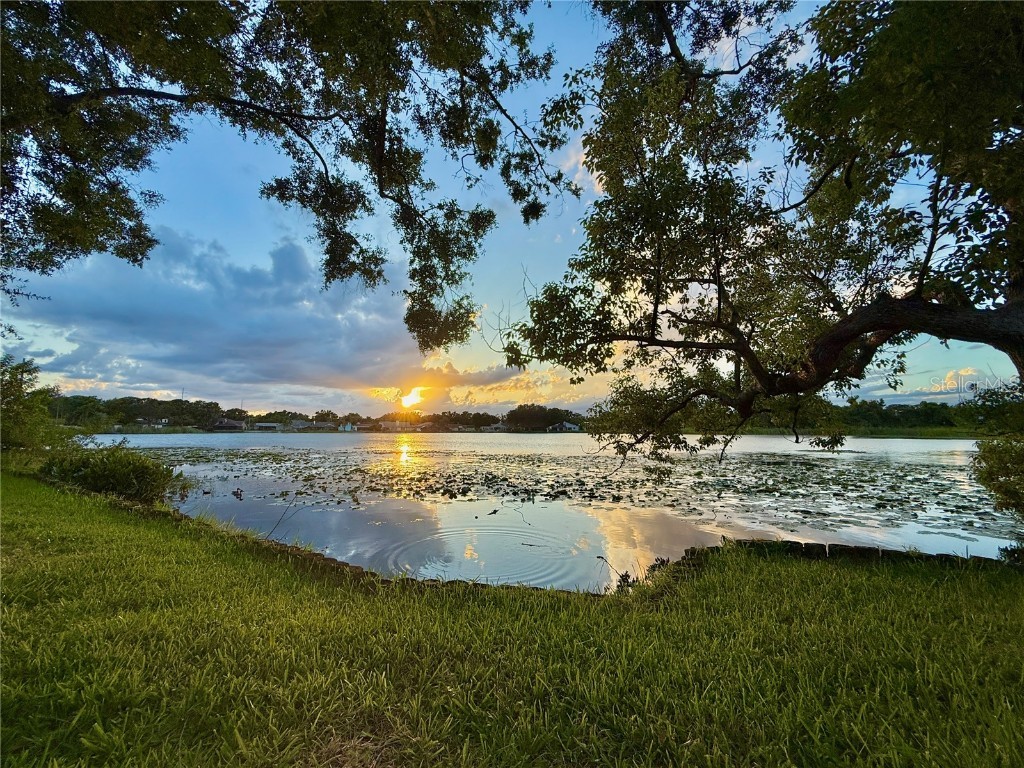 8304 Palma Vista Lane Tampa FL 33614 - Silver Lake TB8409030 image1