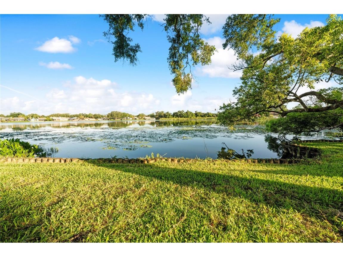 8304 Palma Vista Lane Tampa FL 33614 - Silver Lake TB8409030 image52