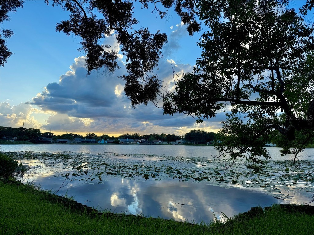 8304 Palma Vista Lane Tampa FL 33614 - Silver Lake TB8409030 image55