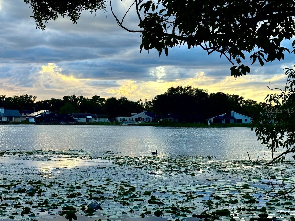 8304 Palma Vista Lane Tampa FL 33614 - Silver Lake TB8409030 image57