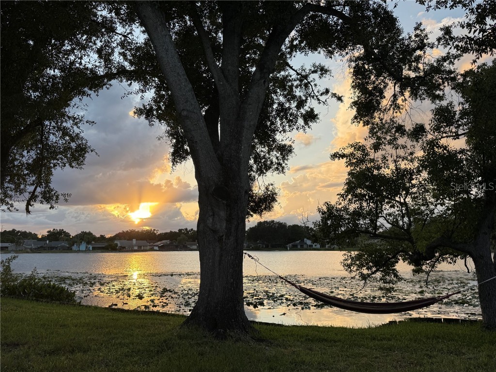 8304 Palma Vista Lane Tampa FL 33614 - Silver Lake TB8409030 image58