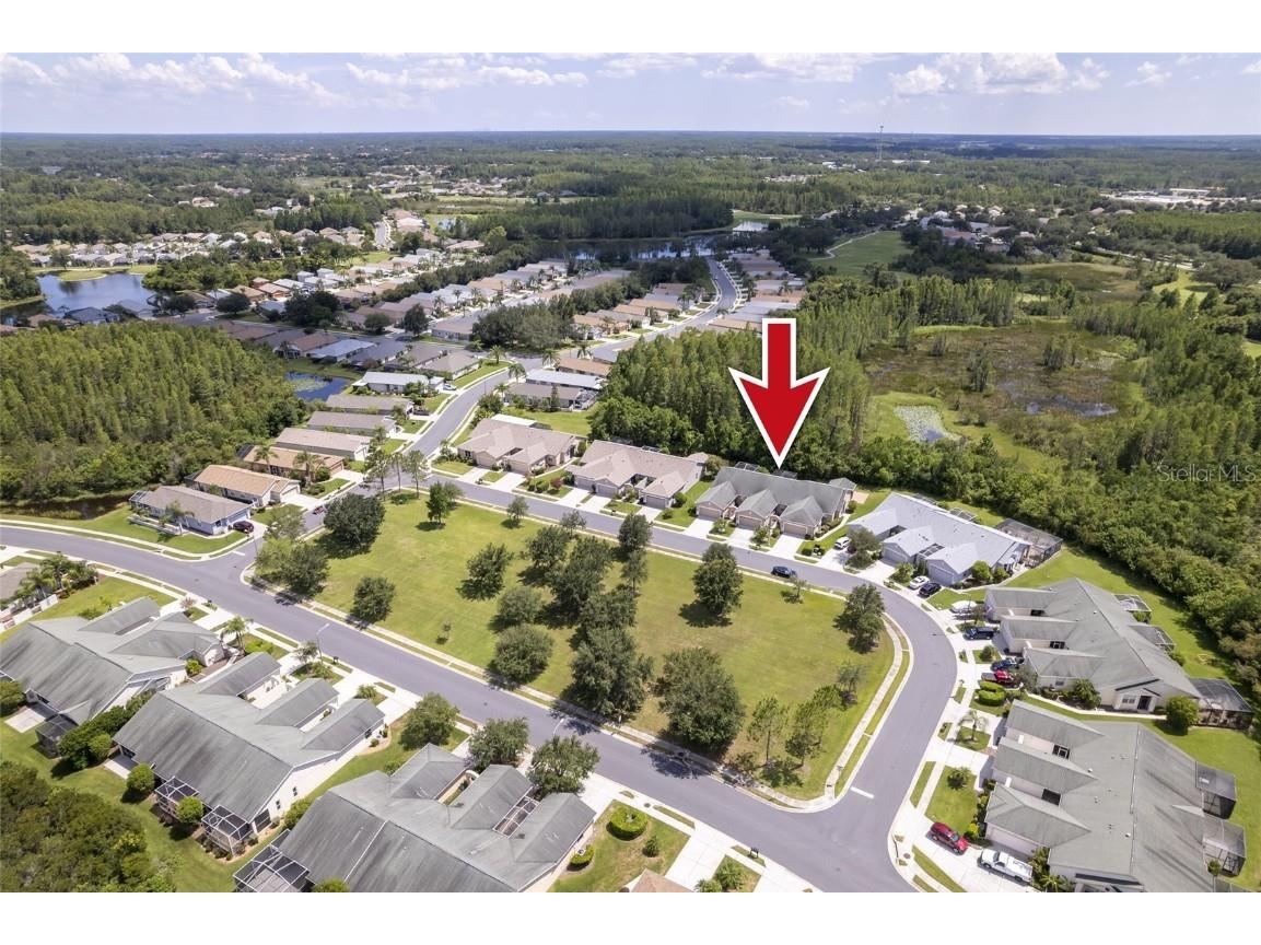 8305 Fallglo Lane Land O Lakes FL 34637 U8206016 image1