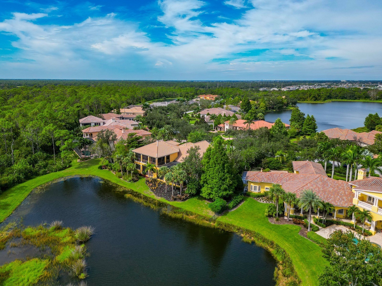 8305 Farington Court Bradenton FL 34202 - THE CONCESSION A4664635 image65