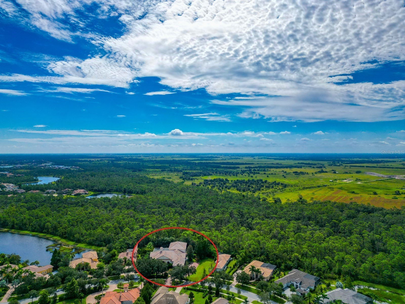 8305 Farington Court Bradenton FL 34202 - THE CONCESSION A4664635 image69