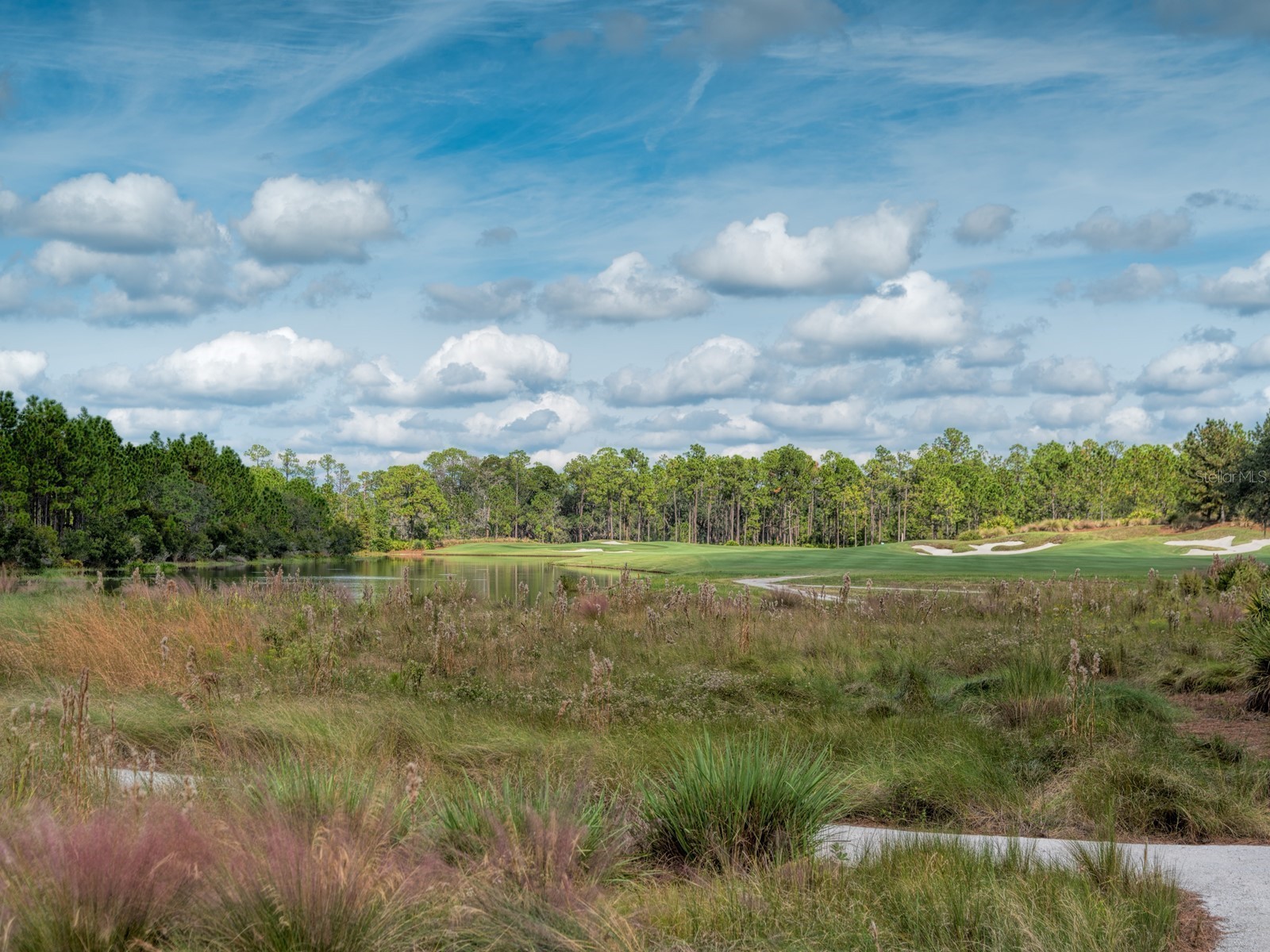 8305 Farington Court Bradenton FL 34202 - THE CONCESSION A4664635 image94