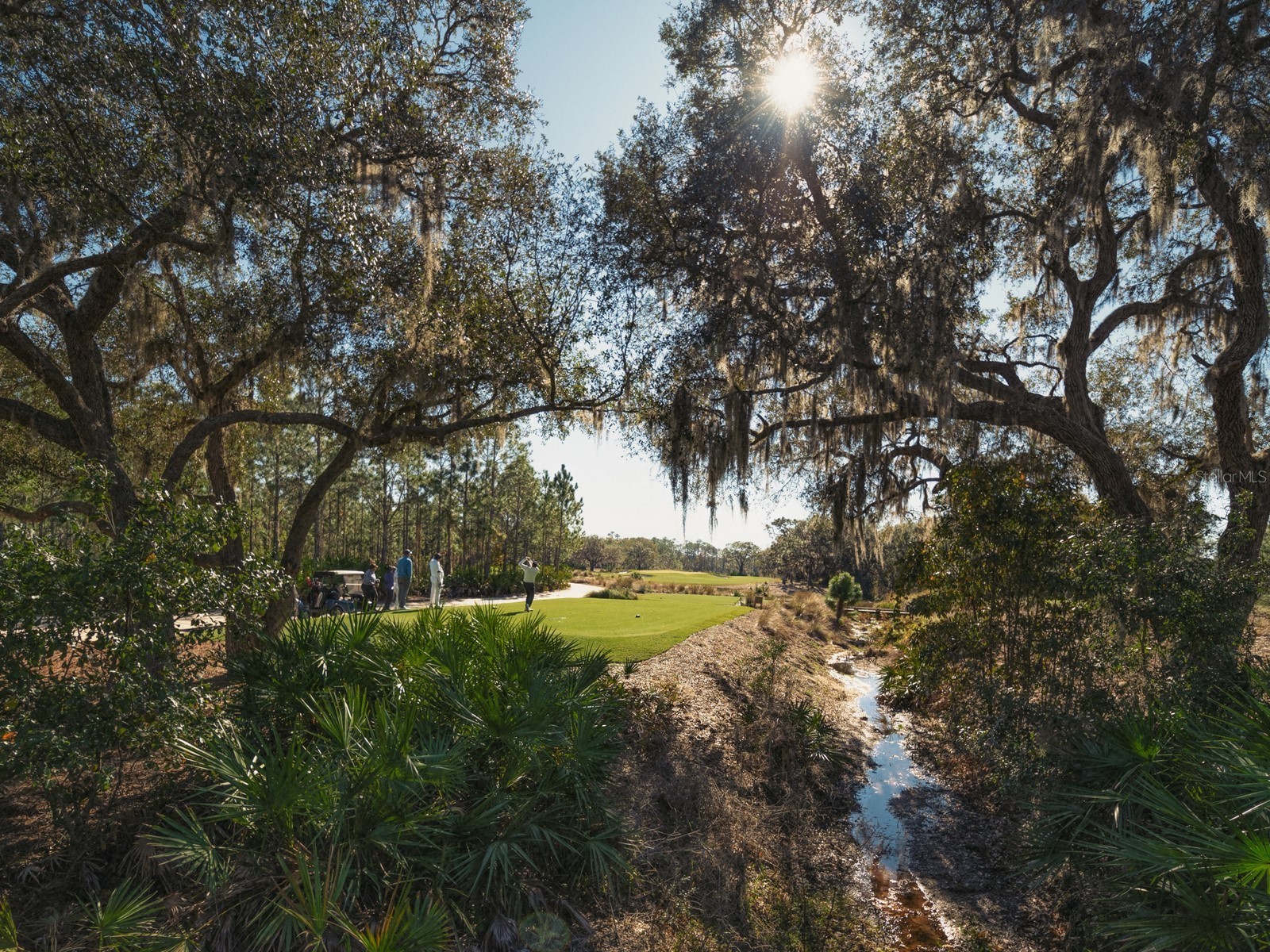 8305 Farington Court Bradenton FL 34202 - THE CONCESSION A4664635 image97