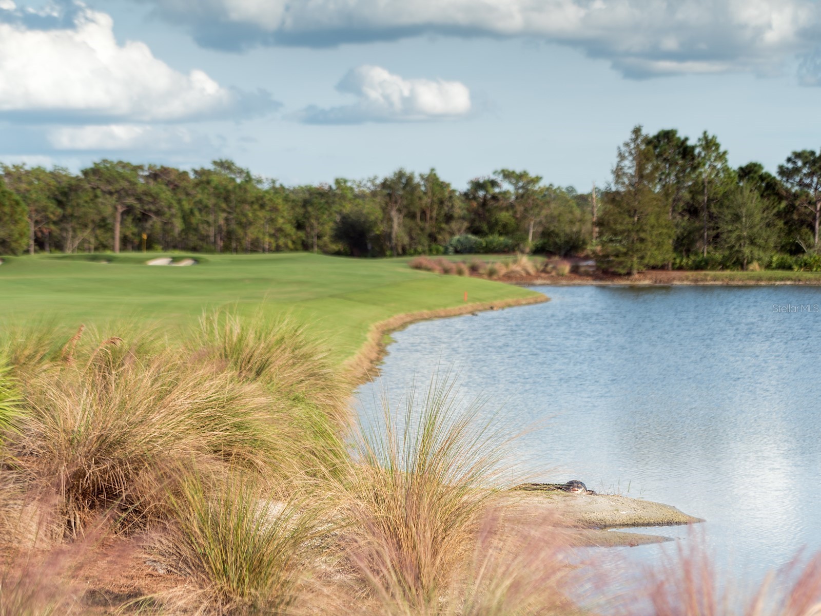 8305 Farington Court Bradenton FL 34202 - THE CONCESSION A4664635 image98