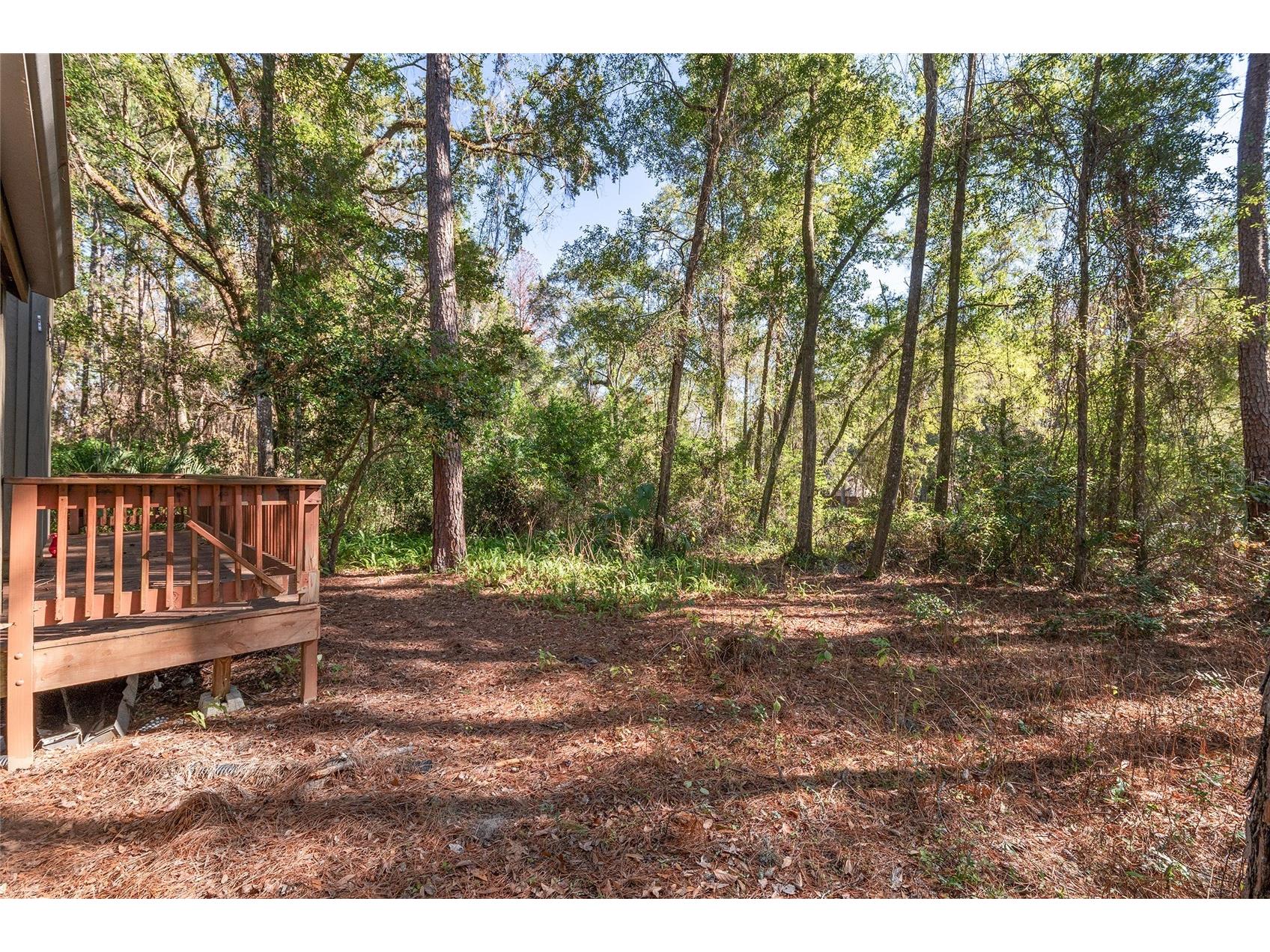 8305 SW 46th Lane Gainesville FL 32608 GC540302 image28