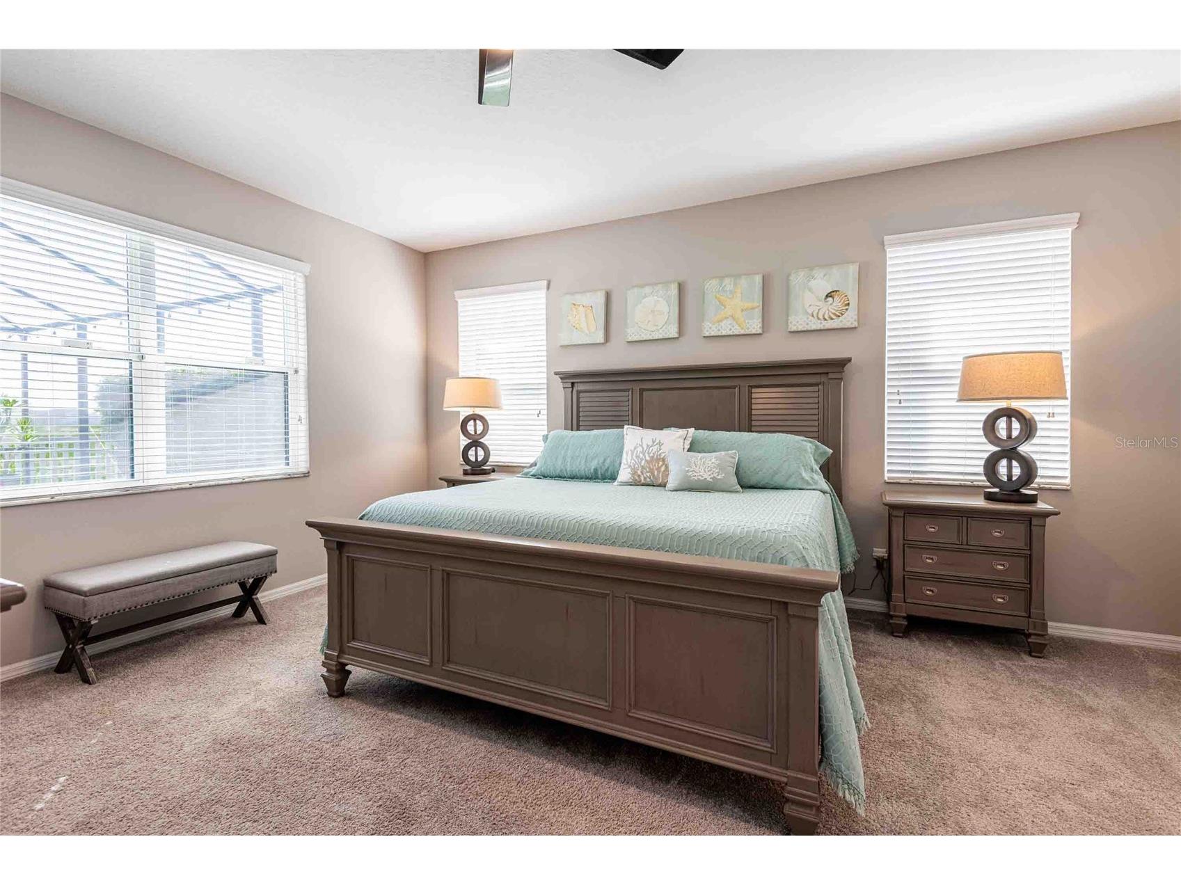 8306 Bluevine Sky Drive Land O Lakes FL 34637 TB8494263 image33