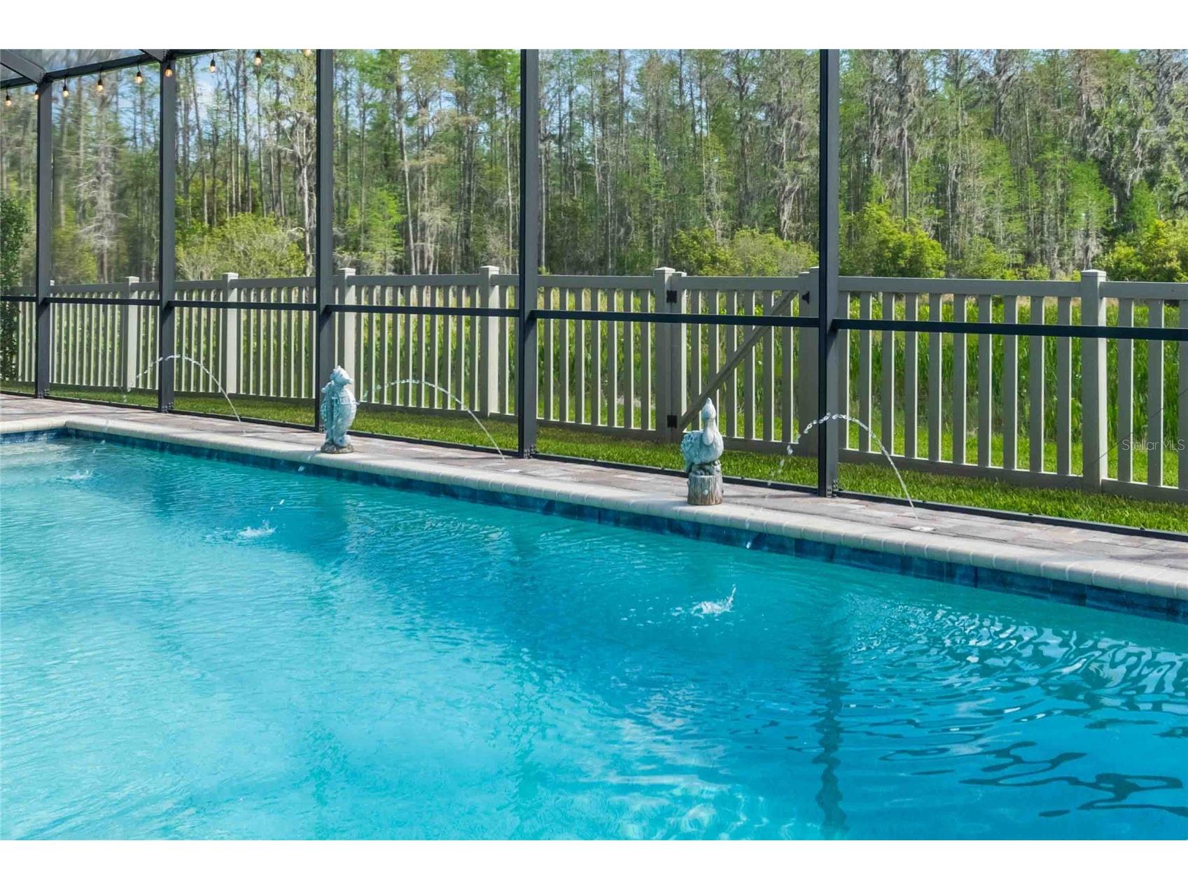 8306 Bluevine Sky Drive Land O Lakes FL 34637 TB8494263 image50