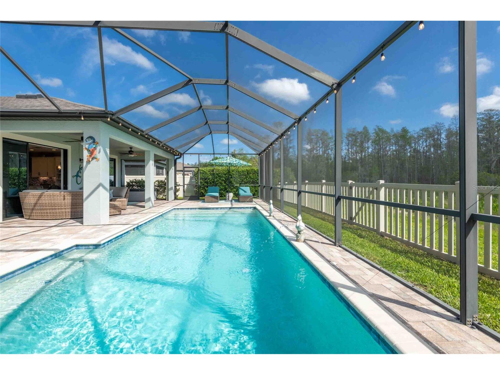 8306 Bluevine Sky Drive Land O Lakes FL 34637 TB8494263 image51