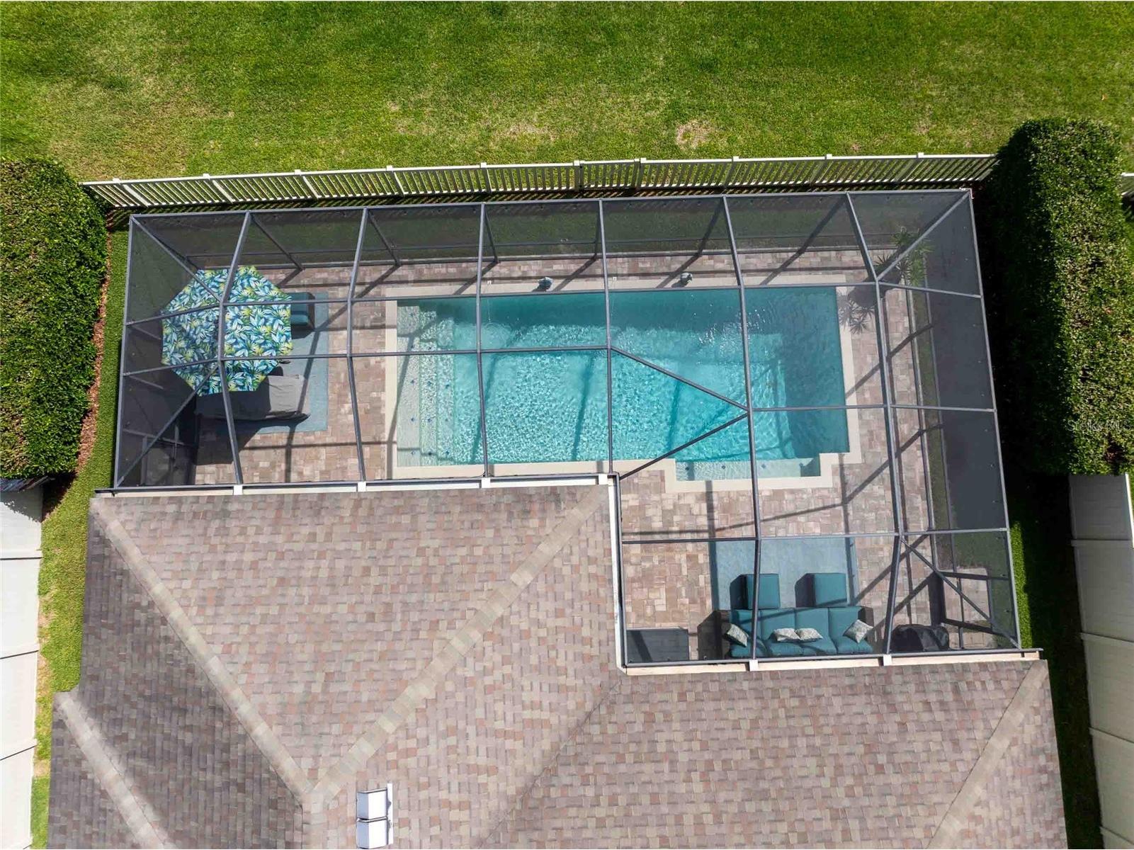 8306 Bluevine Sky Drive Land O Lakes FL 34637 TB8494263 image54