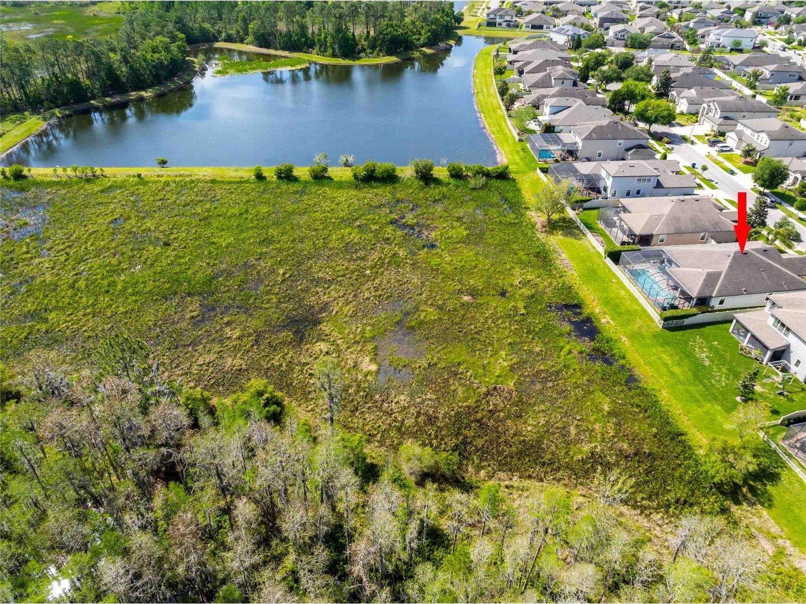 8306 Bluevine Sky Drive Land O Lakes FL 34637 TB8494263 image62