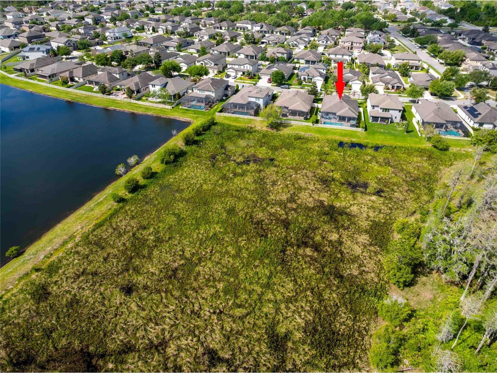 8306 Bluevine Sky Drive Land O Lakes FL 34637 TB8494263 image63