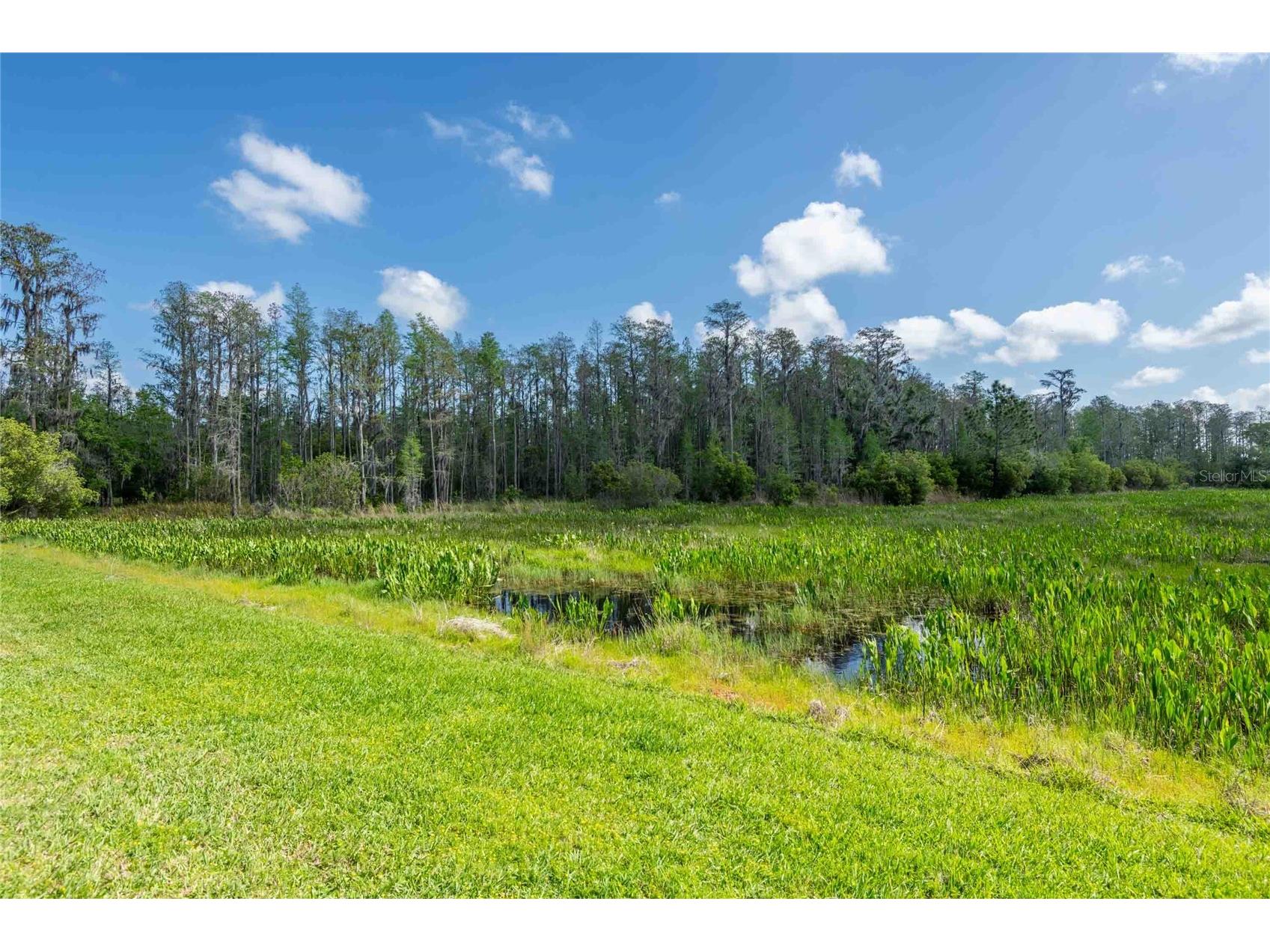 8306 Bluevine Sky Drive Land O Lakes FL 34637 TB8494263 image66