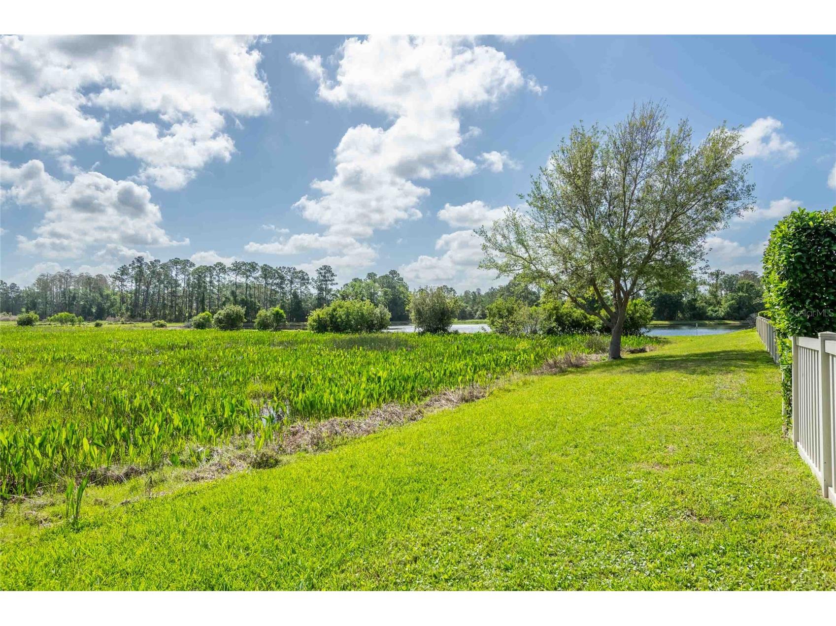8306 Bluevine Sky Drive Land O Lakes FL 34637 TB8494263 image67