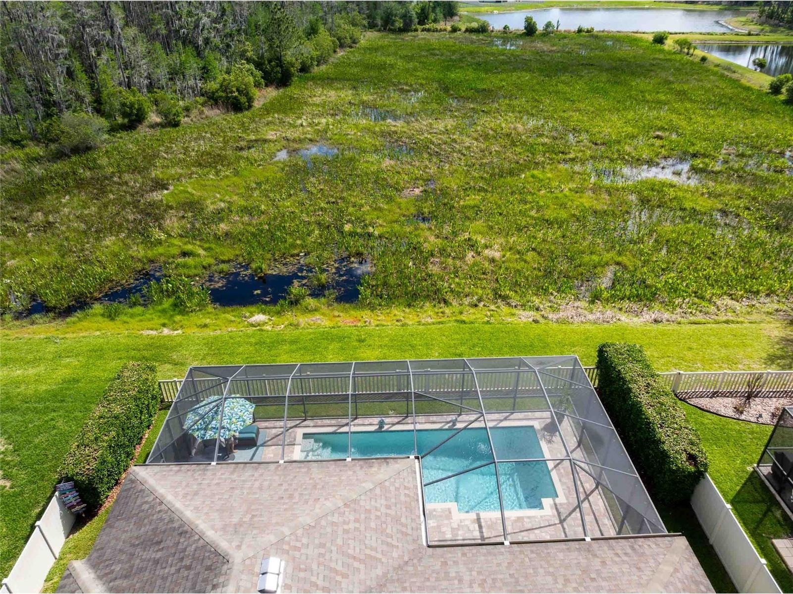 8306 Bluevine Sky Drive Land O Lakes FL 34637 TB8494263 image71