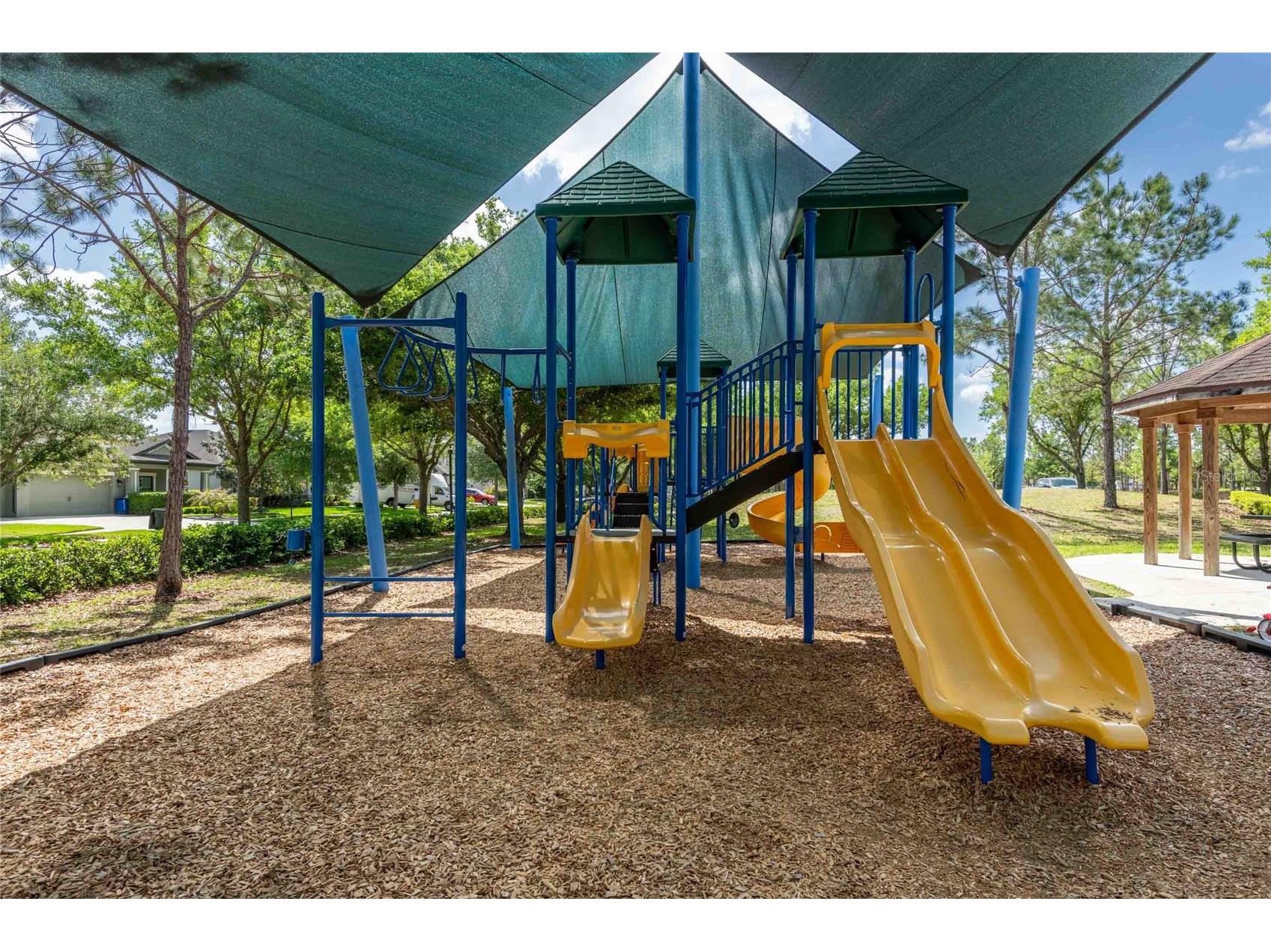 8306 Bluevine Sky Drive Land O Lakes FL 34637 TB8494263 image85