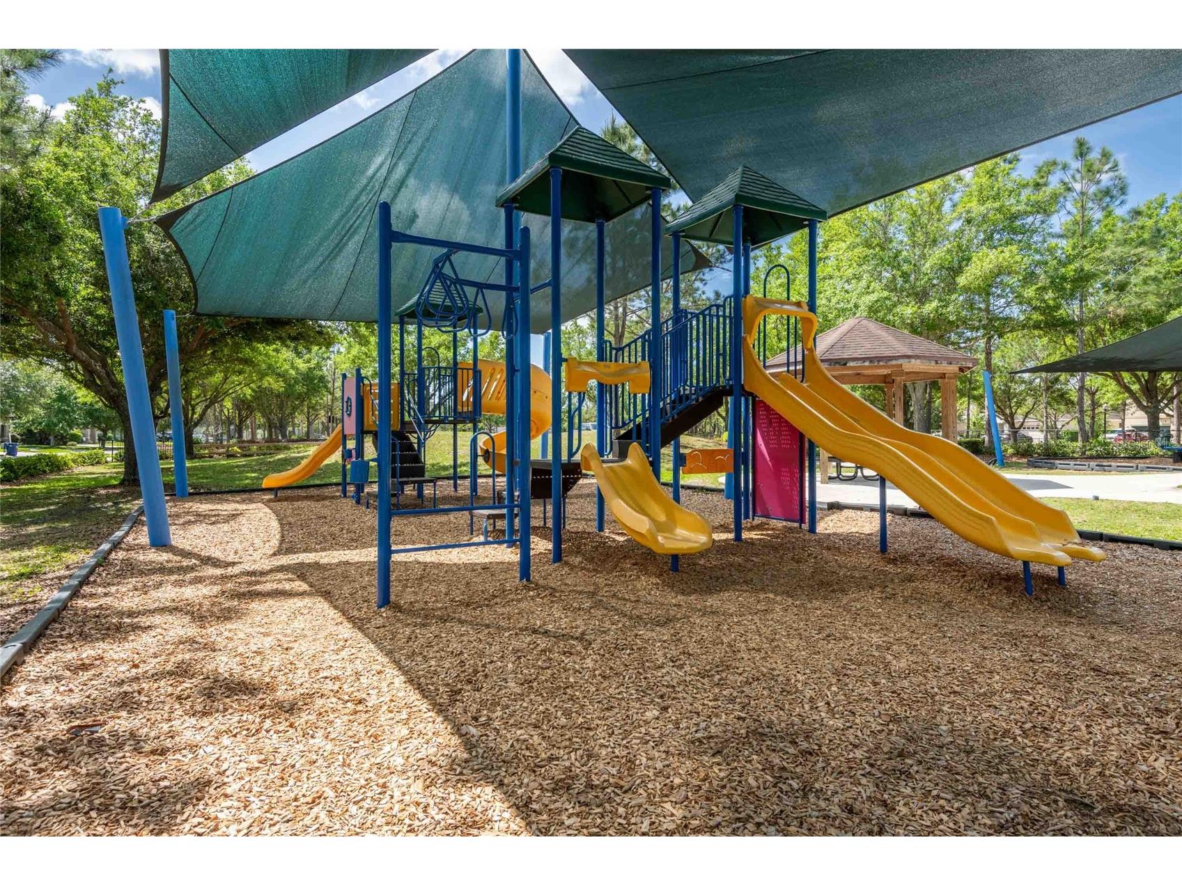8306 Bluevine Sky Drive Land O Lakes FL 34637 TB8494263 image86
