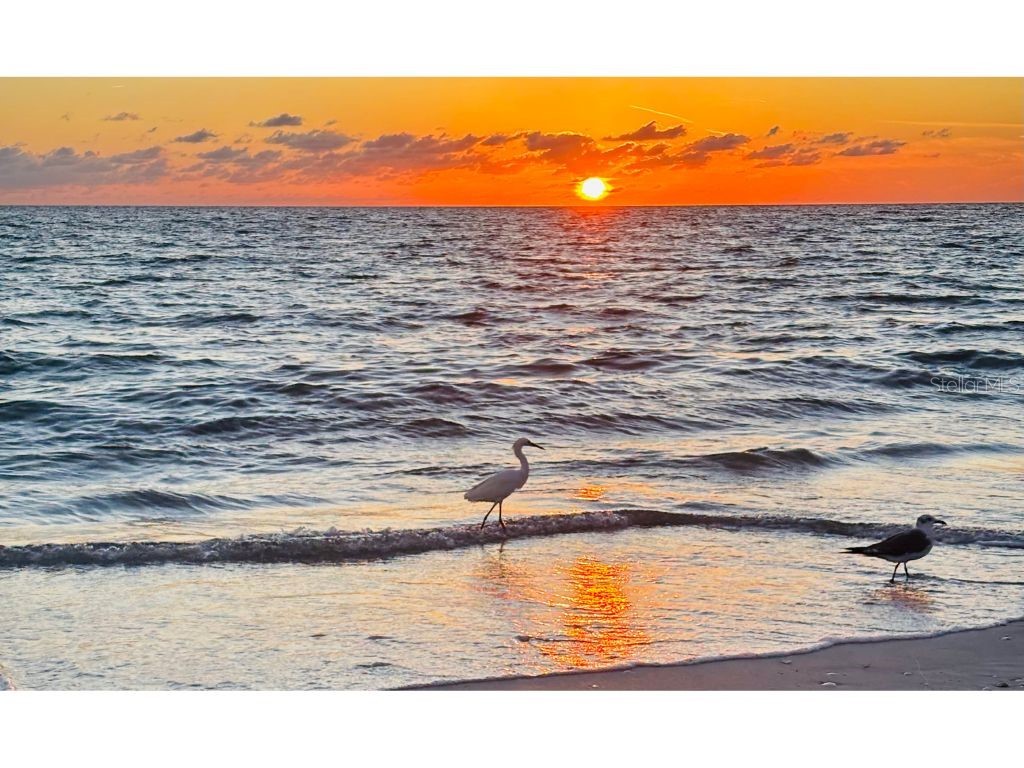 8306 Little Gasparilla Island Placida FL 33946 C7517007 image16